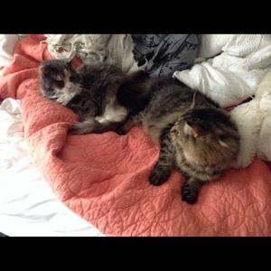 Meet your Posher, Leah